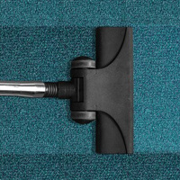 Carpet Cleaning